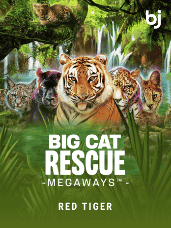 Big Cat Rescue Megaways™ screenshot