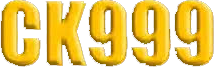 bdck999login.com Logo